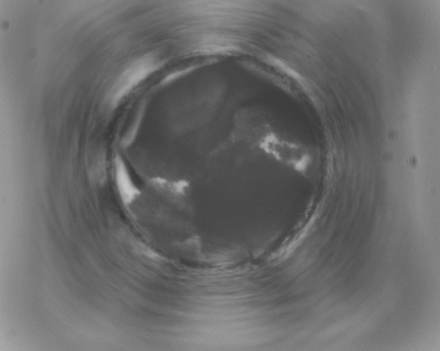 X0000077371306200611171939