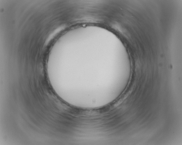 X0000077371307200611171939