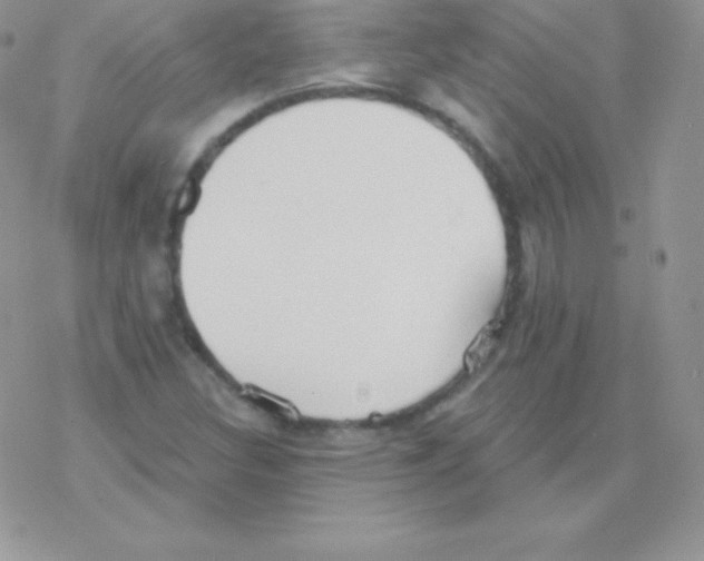 X0000077371308200611171939