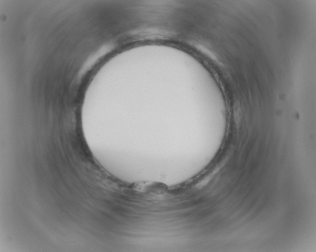 X0000077371309200611171939