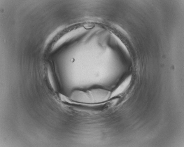 X0000077371310200611171939