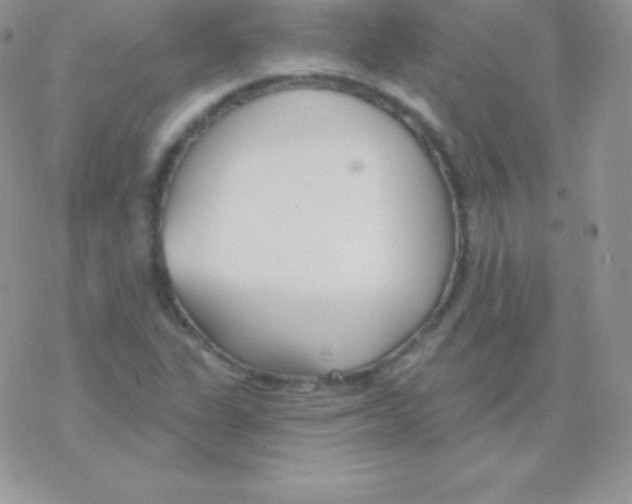 X0000077371311200611171939