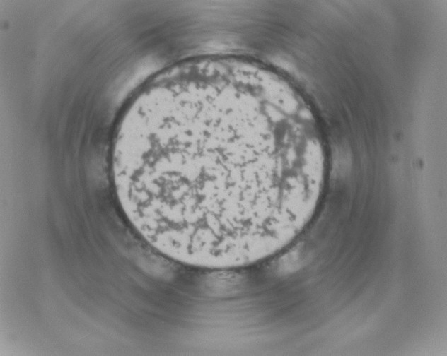 X0000077371314200611171939