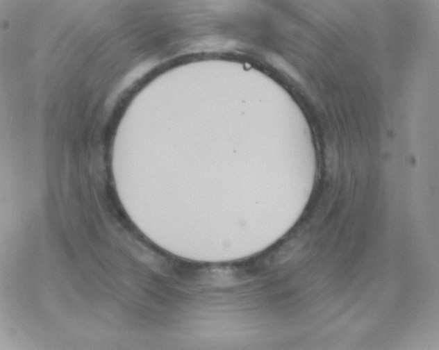 X0000077371315200611171939