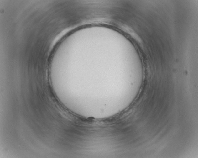 X0000077371316200611171939