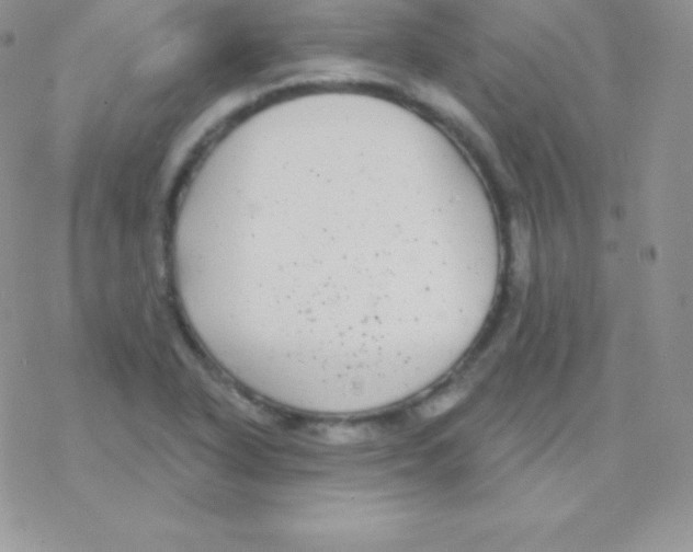 X0000077371318200611171939