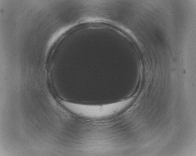 X0000077371319200611171939