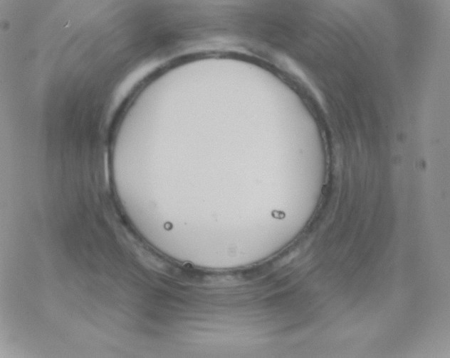 X0000077371320200611171939