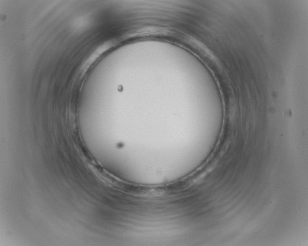 X0000077371321200611171939