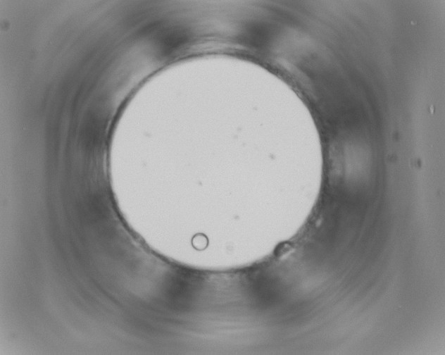 X0000077371322200611171939