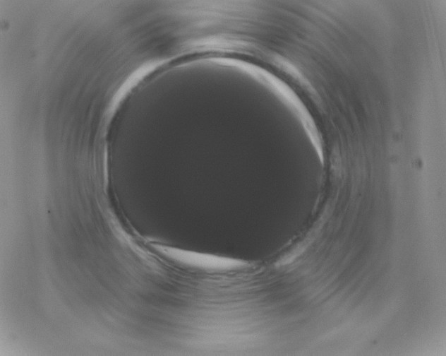 X0000077371323200611171939