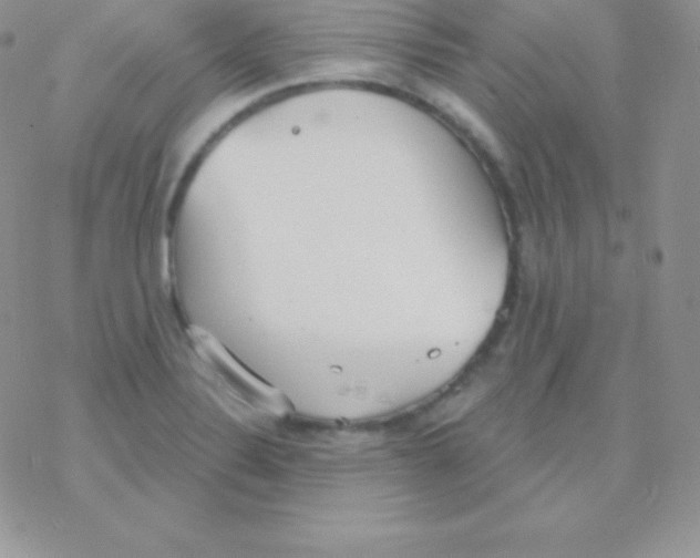 X0000077371324200611171939