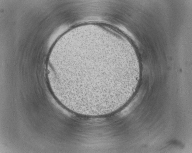 X0000077371325200611171939