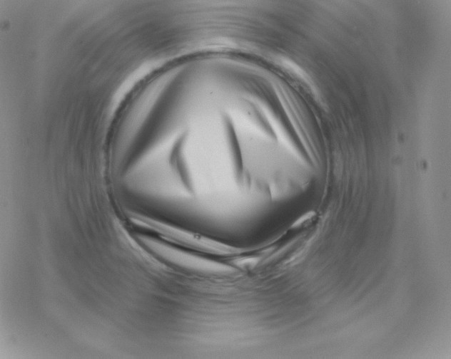 X0000077371326200611171939