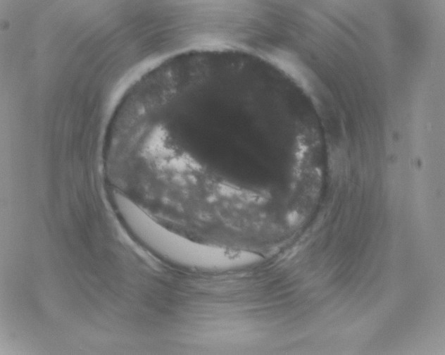 X0000077371327200611171939