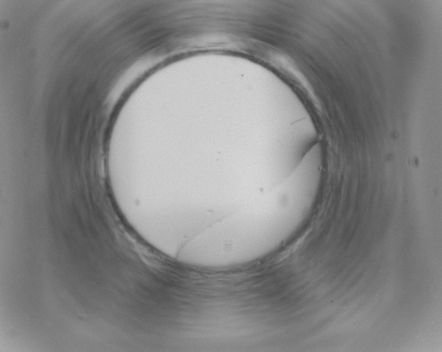 X0000077371328200611171939