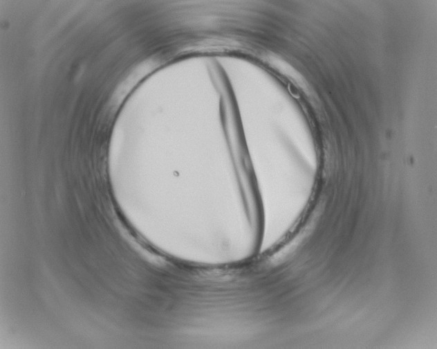 X0000077371329200611171939