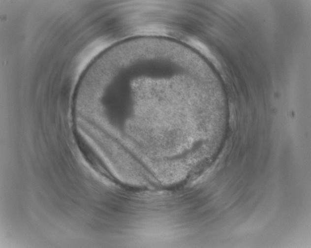 X0000077371331200611171939