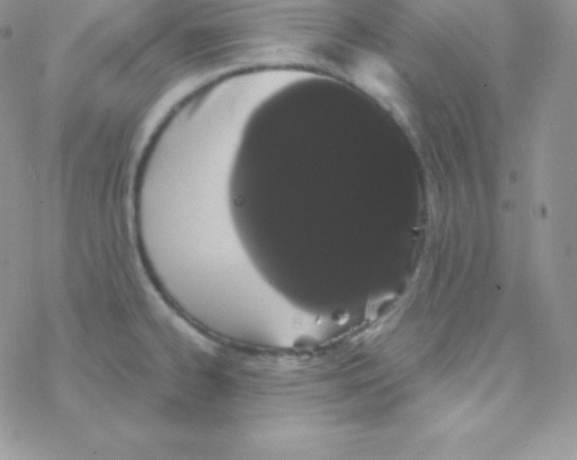 X0000077371334200611171939