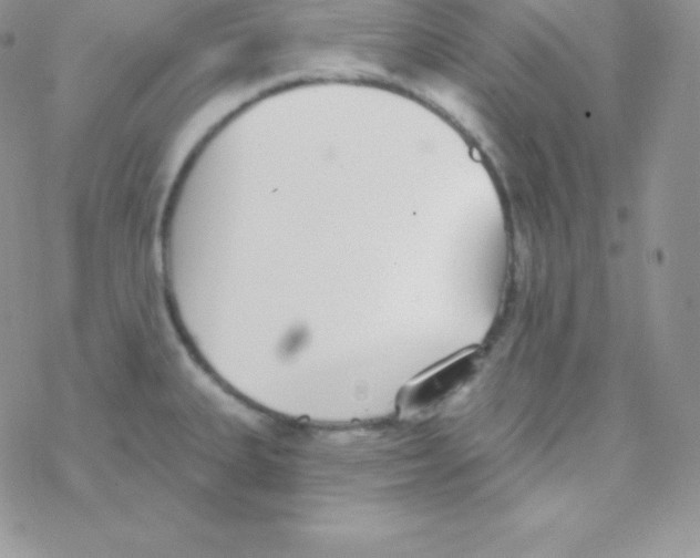 X0000077371335200611171939