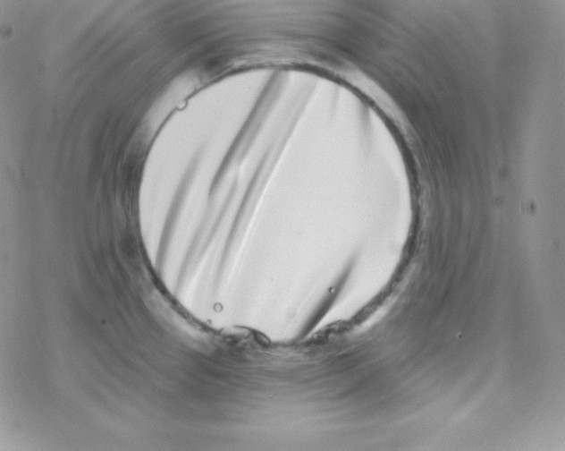 X0000077371337200611171939