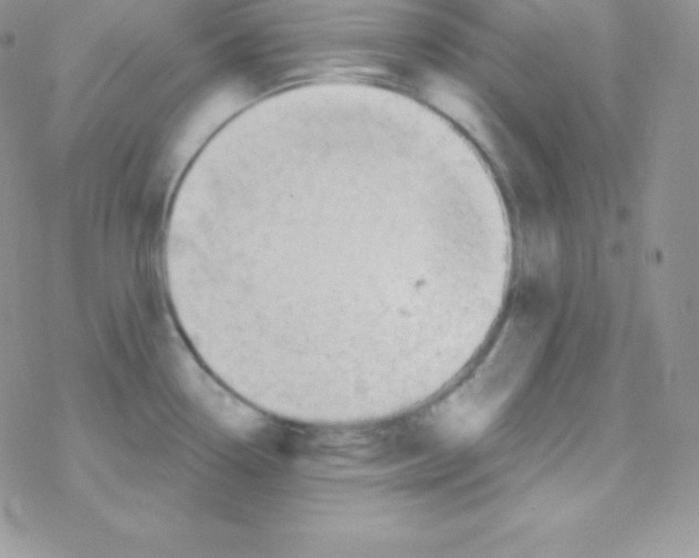 X0000077371338200611171939