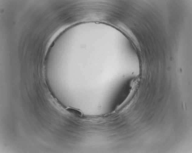 X0000077371340200611171939