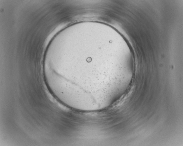 X0000077371341200611171939