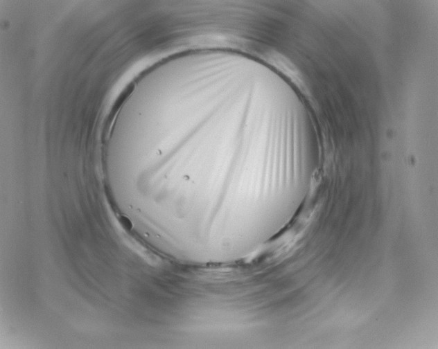 X0000077371342200611171939