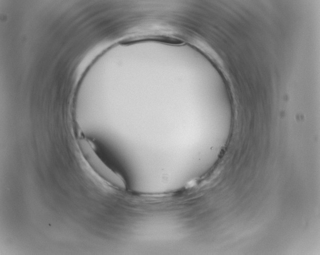 X0000077371344200611171939