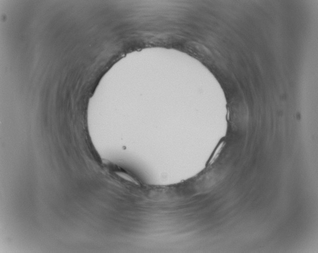 X0000077371345200611171939