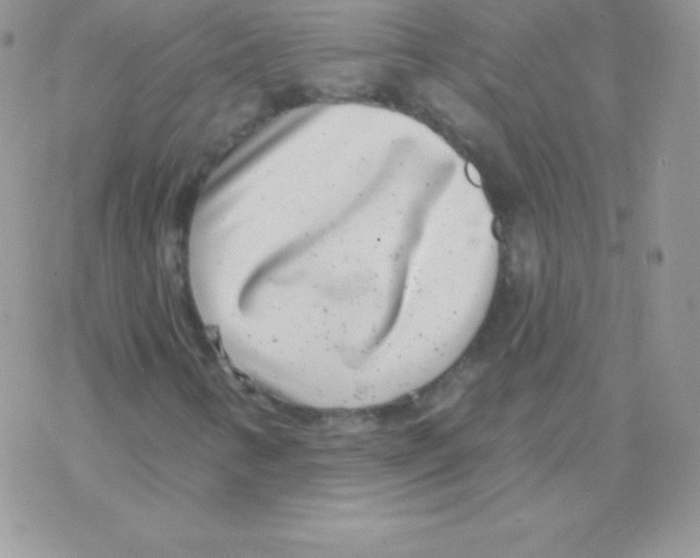 X0000077371346200611171939