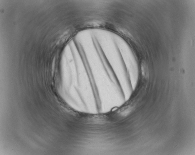 X0000077371347200611171939