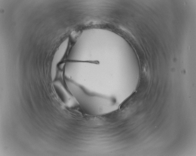 X0000077371348200611171939