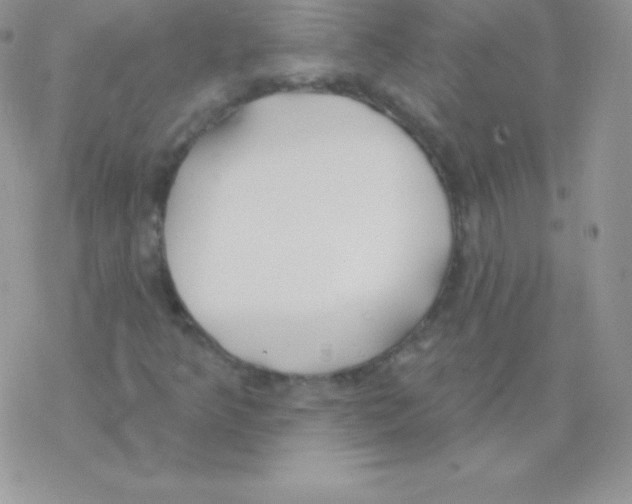 X0000077371349200611171939