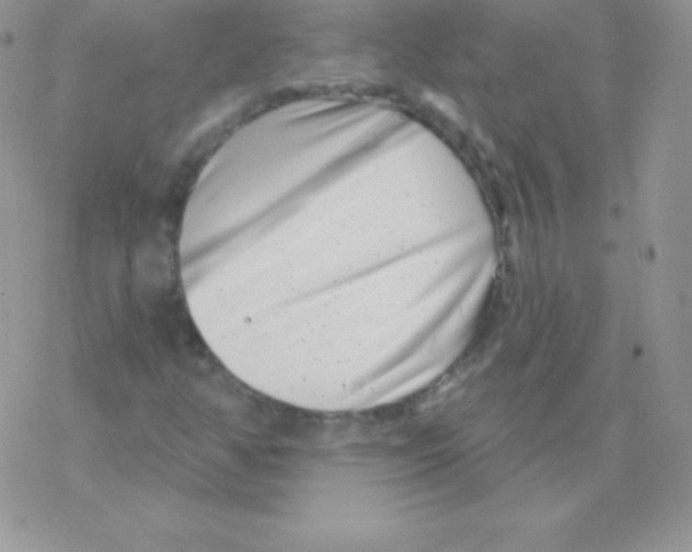 X0000077371350200611171938