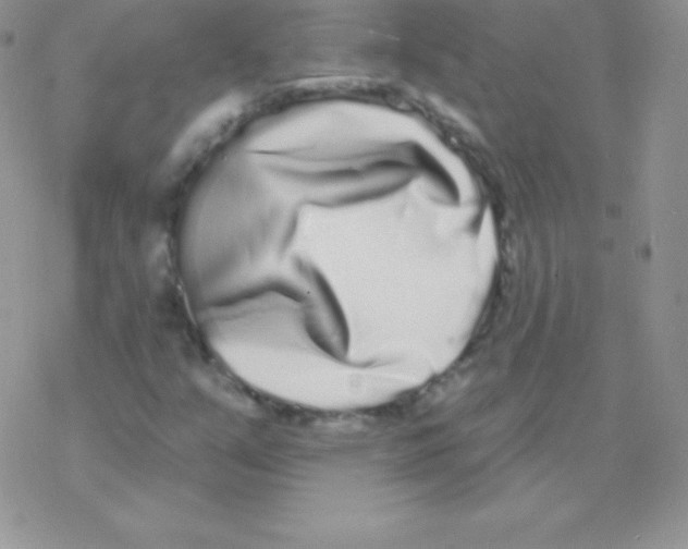 X0000077371351200611171938