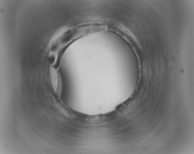 X0000077371352200611171938