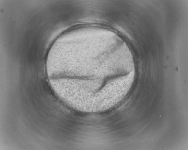 X0000077371358200611171938