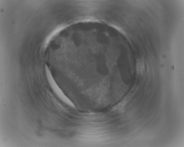 X0000077371359200611171938