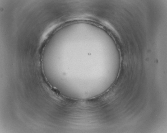 X0000077371360200611171938