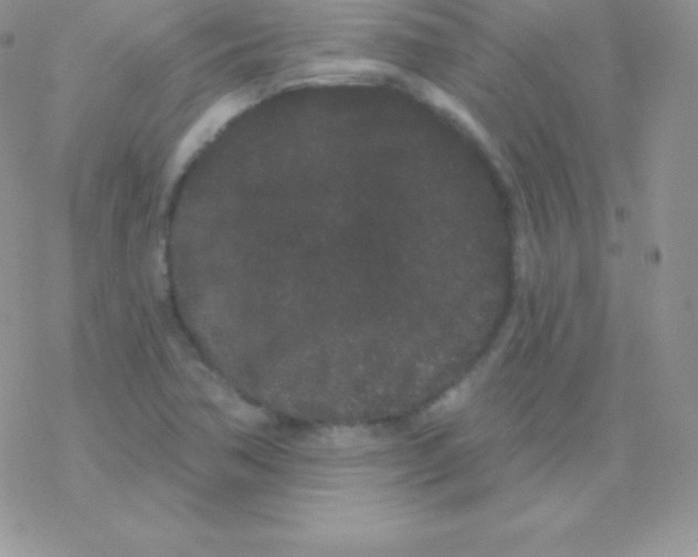 X0000077371362200611171938