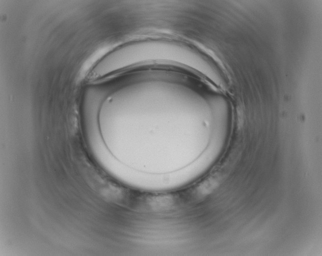 X0000077371363200611171938