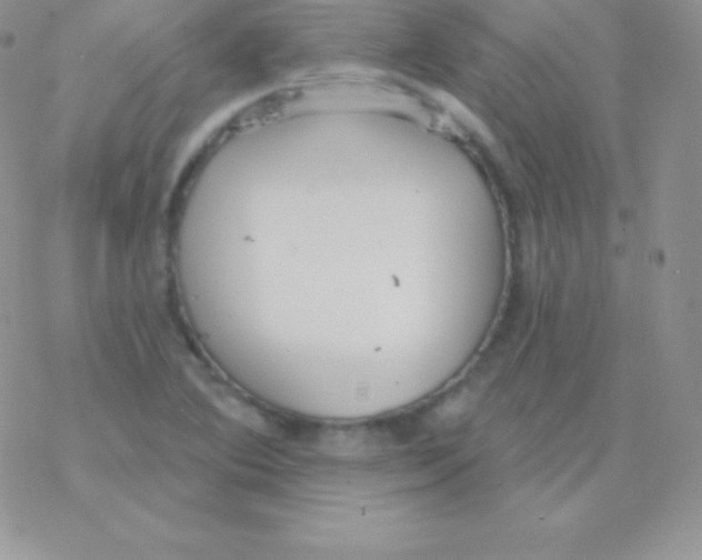 X0000077371364200611171938