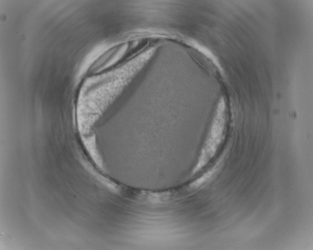 X0000077371365200611171938