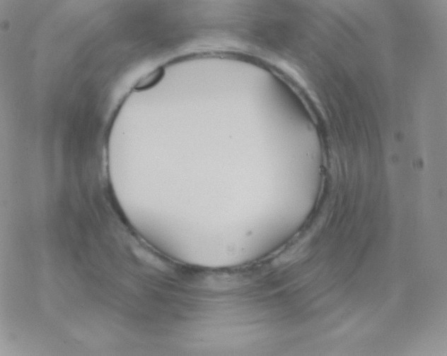 X0000077371366200611171938