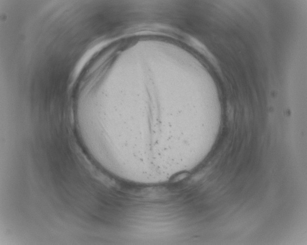 X0000077371368200611171938