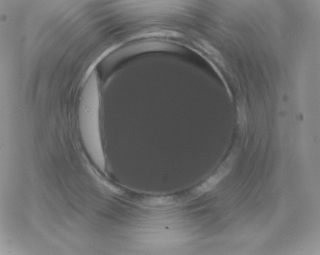 X0000077371369200611171938