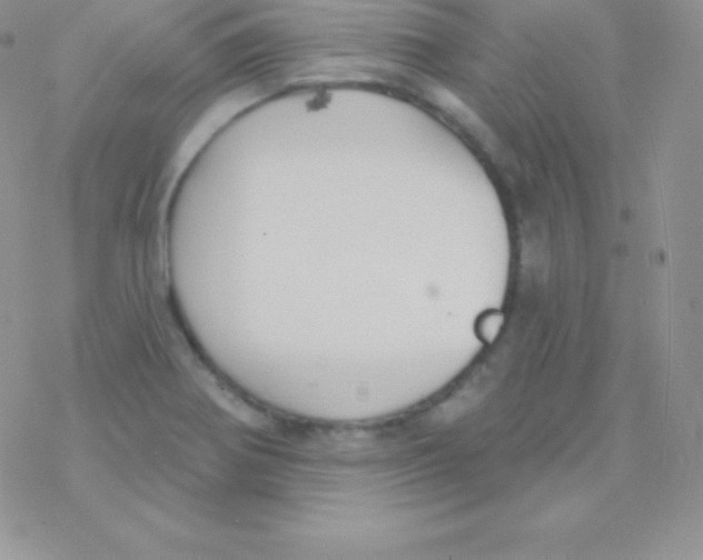 X0000077371370200611171938