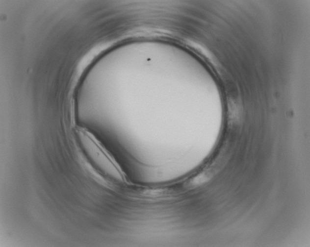 X0000077371371200611171938